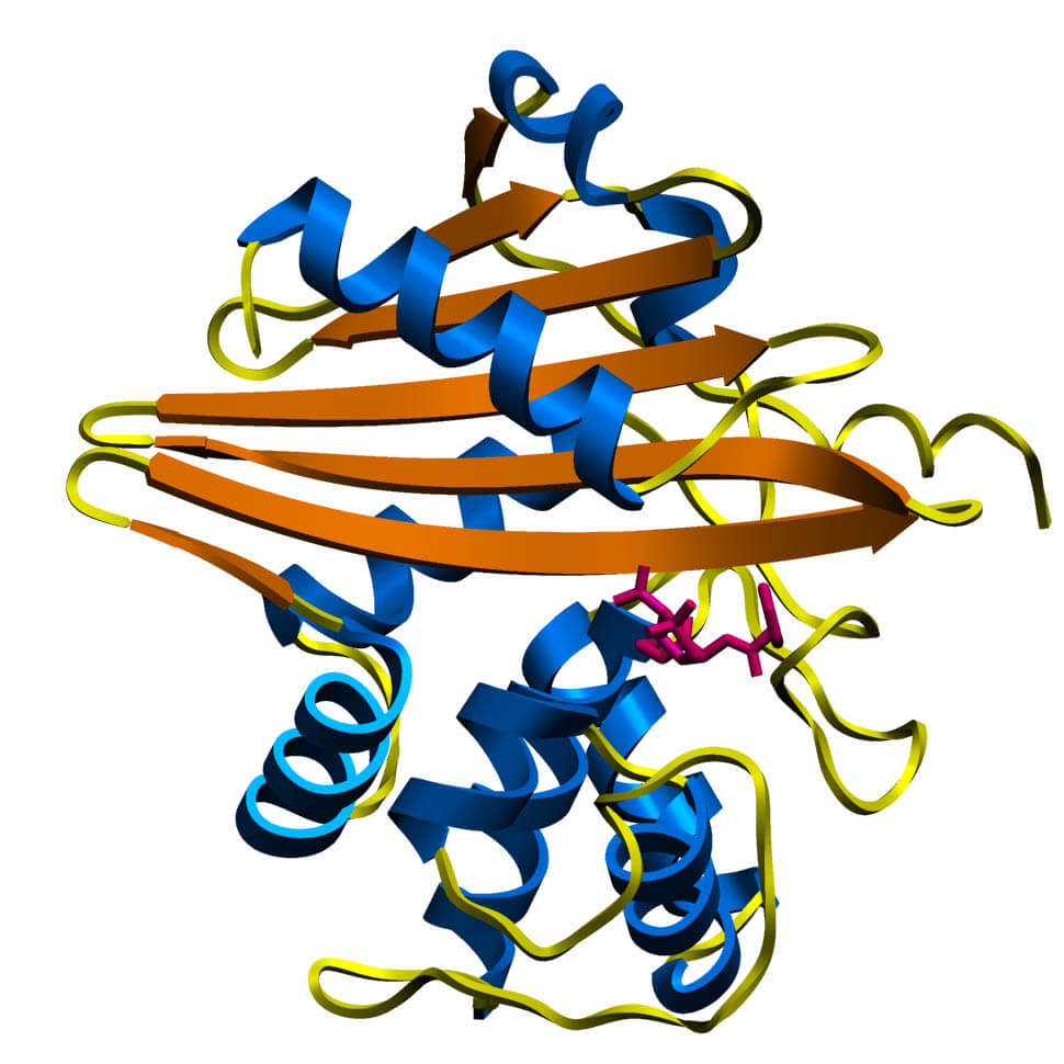 MecR1 penicillin binding domain