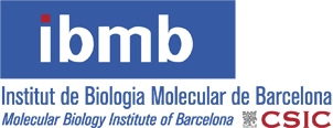 IBMB Logo