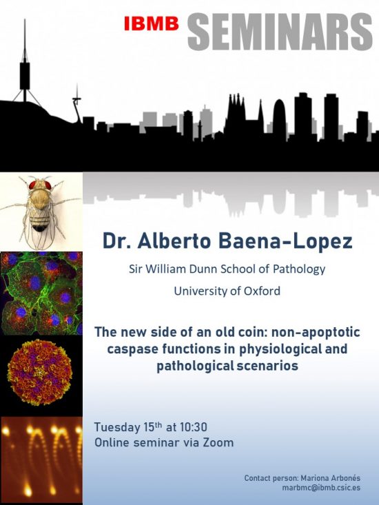 Alberto Baena Lopez-seminar