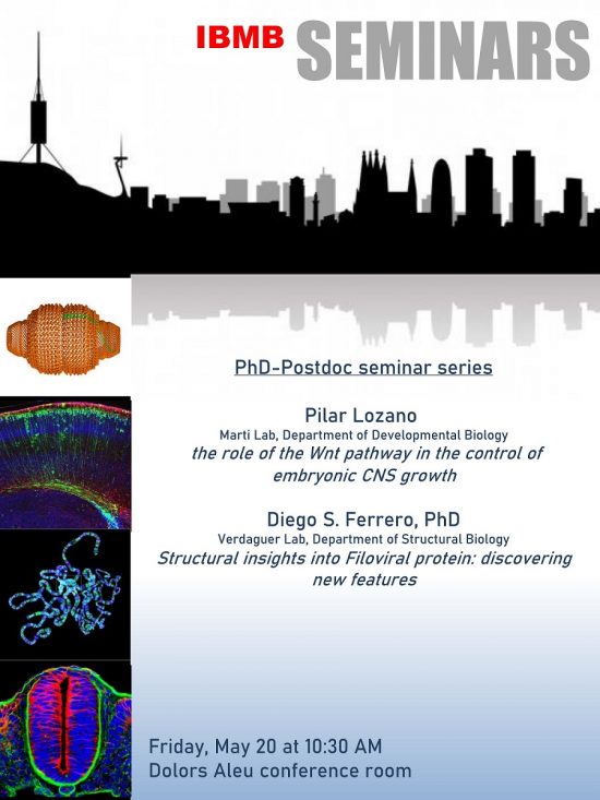 may20th-PhD-PostDoc-seminar series